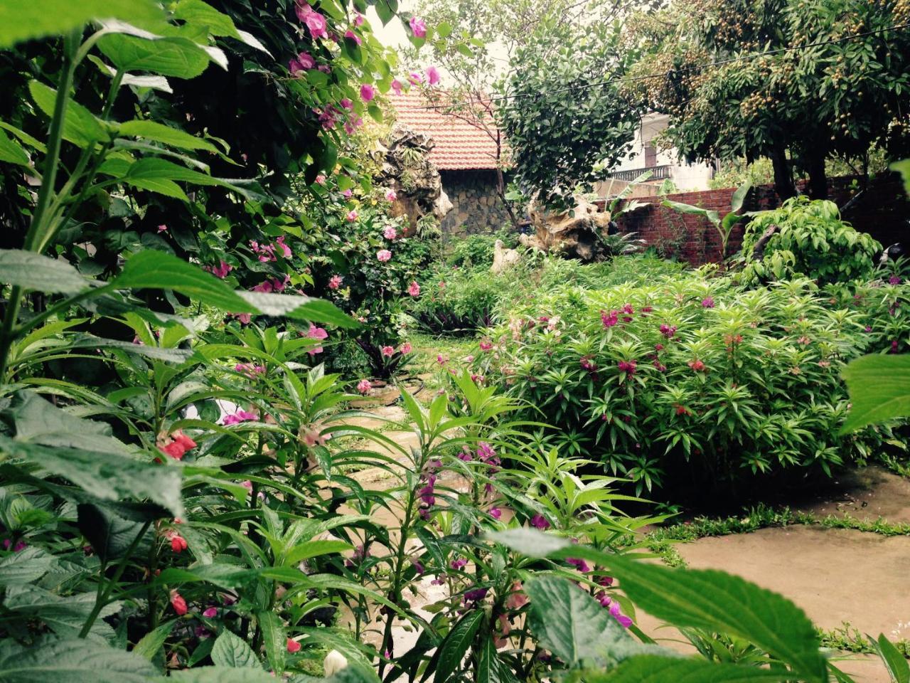 Mr. Viet home stay Ninh Binh Eksteriør billede
