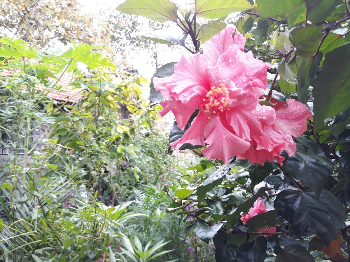 Mr. Viet home stay Ninh Binh Eksteriør billede