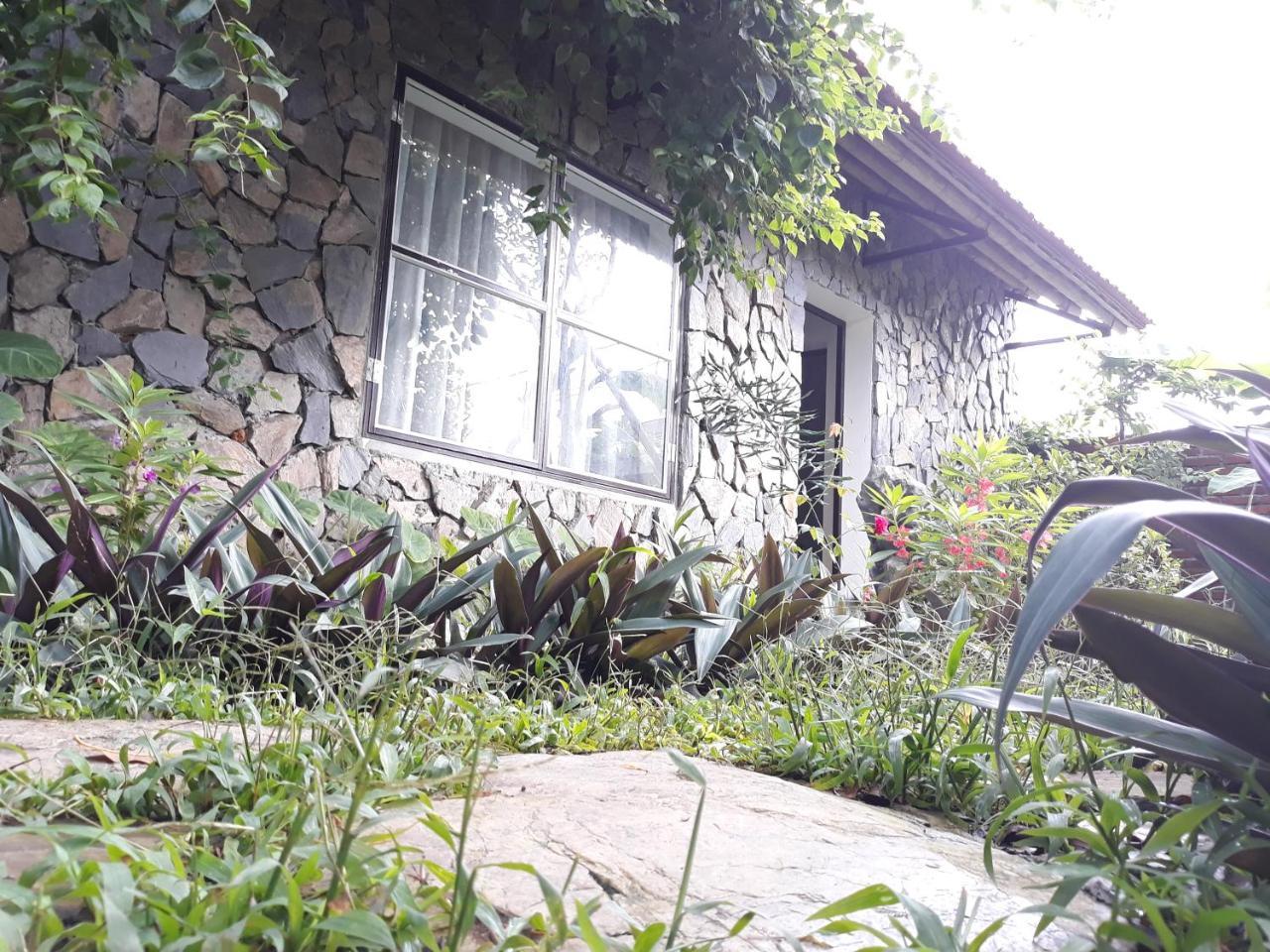 Mr. Viet home stay Ninh Binh Eksteriør billede