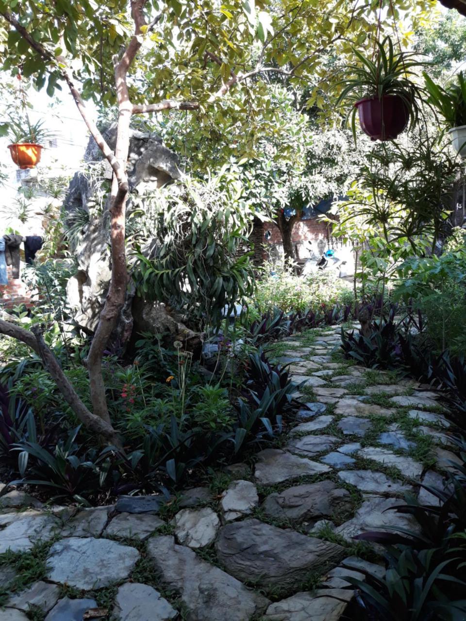 Mr. Viet home stay Ninh Binh Eksteriør billede