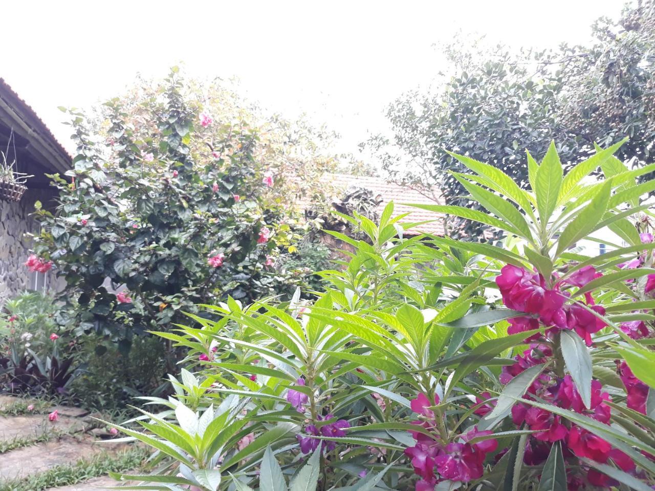 Mr. Viet home stay Ninh Binh Eksteriør billede