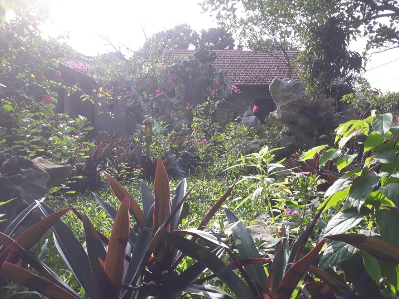 Mr. Viet home stay Ninh Binh Eksteriør billede