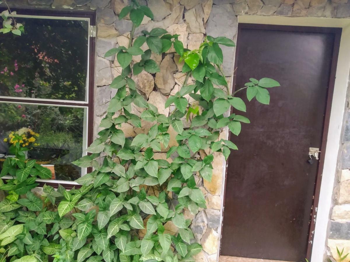 Mr. Viet home stay Ninh Binh Eksteriør billede